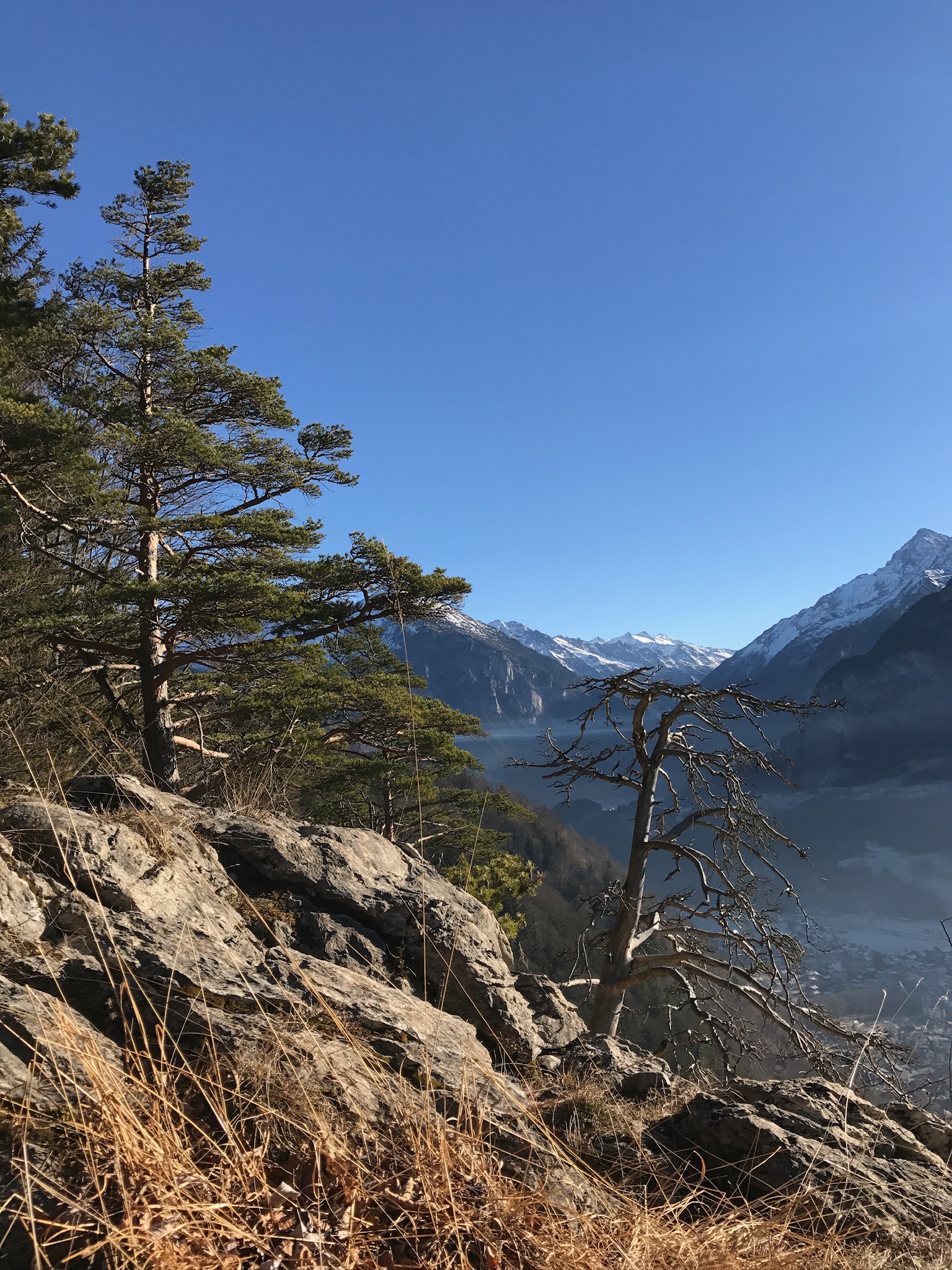 Wanderungen 